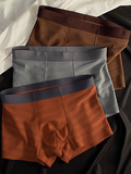 EmberWeave Luxe Briefs