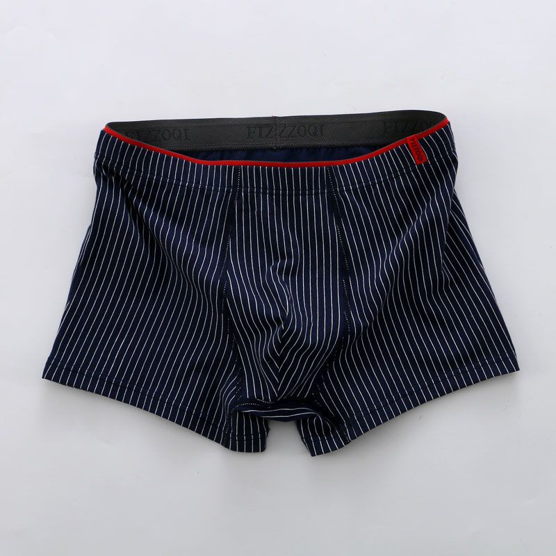 Midnight Pinstripe Core Trunks