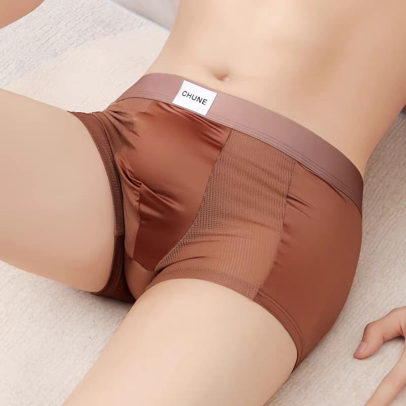 Ultra Soft Ice Silk Boxer Briefs